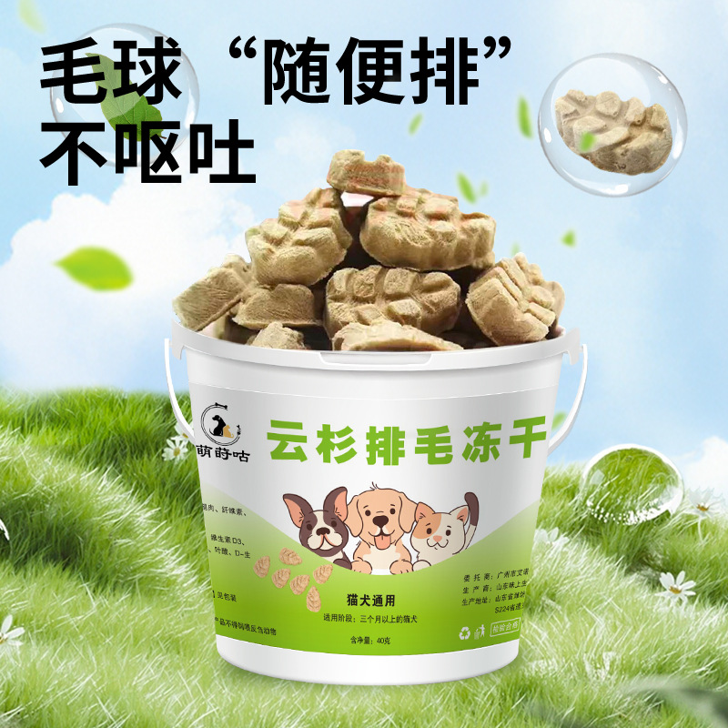 Abeto de abeto helado para gato helado