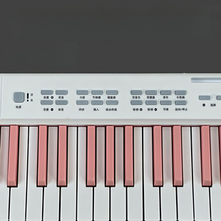 Portable Folding Electric Piano Keyboard Electronic Keyboard Student Adult Beginner Kindergarten Teacher Exam Professional Home Use