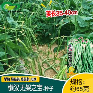 �Нh�o��֮���ض����ǷN�� �r��ˈ@�߲˴����߲��L�������׷N