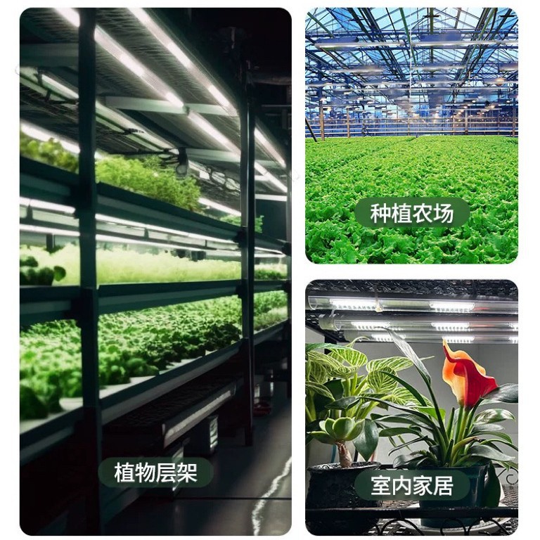 Espectro completo T8 doble fila de tres filas T20 lámpara de planta lámpara de crecimiento LED tubo de cultivo de plántulas de tejidos de cultivo de flores suculentas