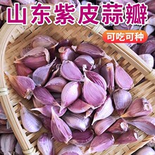 ɽ������ͷ�Ѹ���5����Ƥ�{ͷ�����������������ũ�Ҵ���̦����