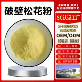 破壁松花粉300目破壁率＞98%纯粉马尾松花粉可批发可零售当天发货