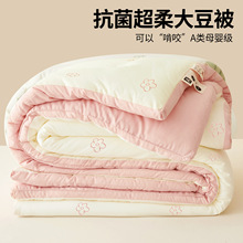 a类大豆纤维被家用卧室春秋被冬季冬天被芯学生宿舍加厚保暖冬被
