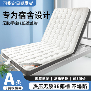 Latex Coconut Palm Student Dormitory Mattress Cover Single Home Bedroom Foldable Soft Cushion Rental Special Mat