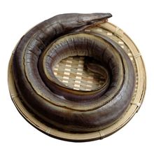 舟山风鳗筒风鳗鱼微咸渔民自晒海鱼海鲜干货500g/包6-7成干中段