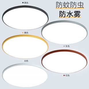 Three-proof corridor lights pass through the balcony bathroom waterproof bathroom ceiling LED mosquito kitchen moisture-proof round