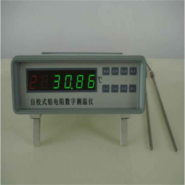 自校式铂电阻数字测温仪型号:XL36-RCY-3D库号：M366859
