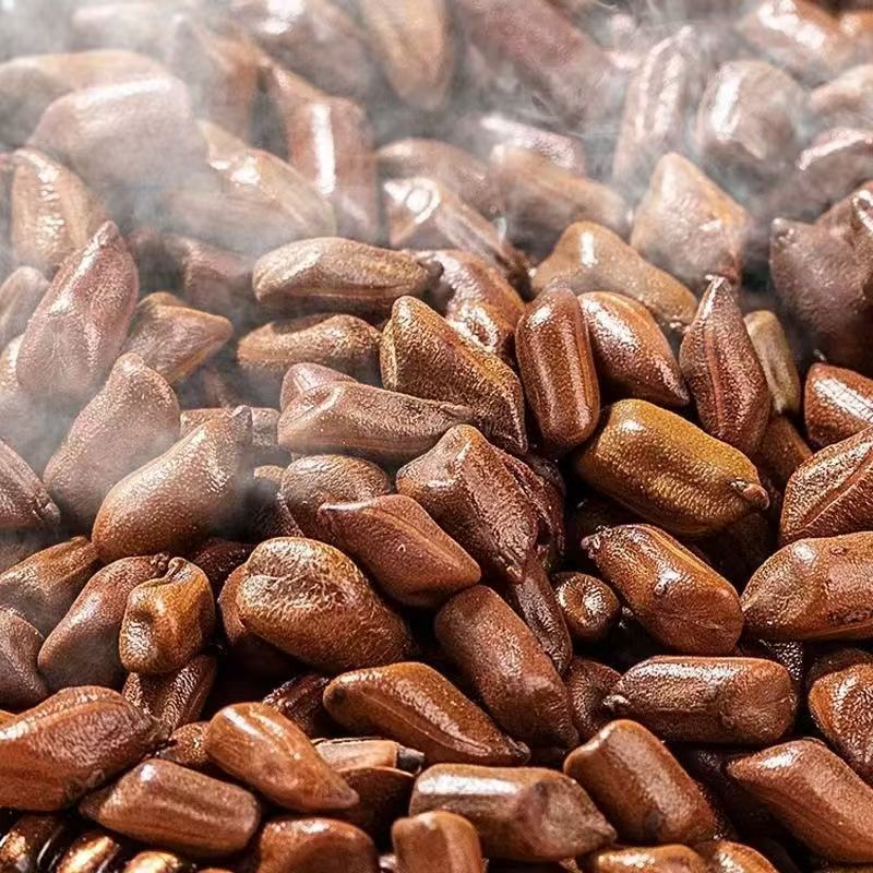 包邮散装批发决明子玩具沙大批量决明子填充枕头枕芯炒熟决明子茶