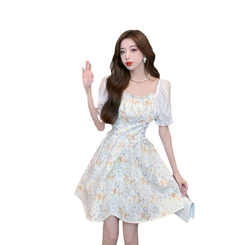 Women's Dress 2025 Summer New Arrival Korean Style Women's Short-Sleeved Chiffon Floral Long Dress—Wholesale Supply for Foreign Trade