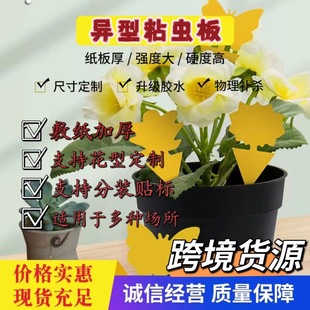 Shaped Sticky Insect Trap Board Insect Decal Trap Trapper Amazon Garden Flower Fly Trap