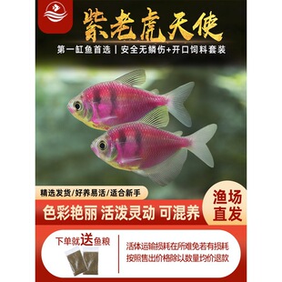 ���ϻ���ʹ�^�p�~��ˮ�Ꭷ�~С���~���~���~���B�ͻ��߲��~�����~