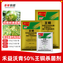 禾益沃青50%王铜柑橘树溃 疡病黄瓜细菌性角斑病保护性农药杀菌剂