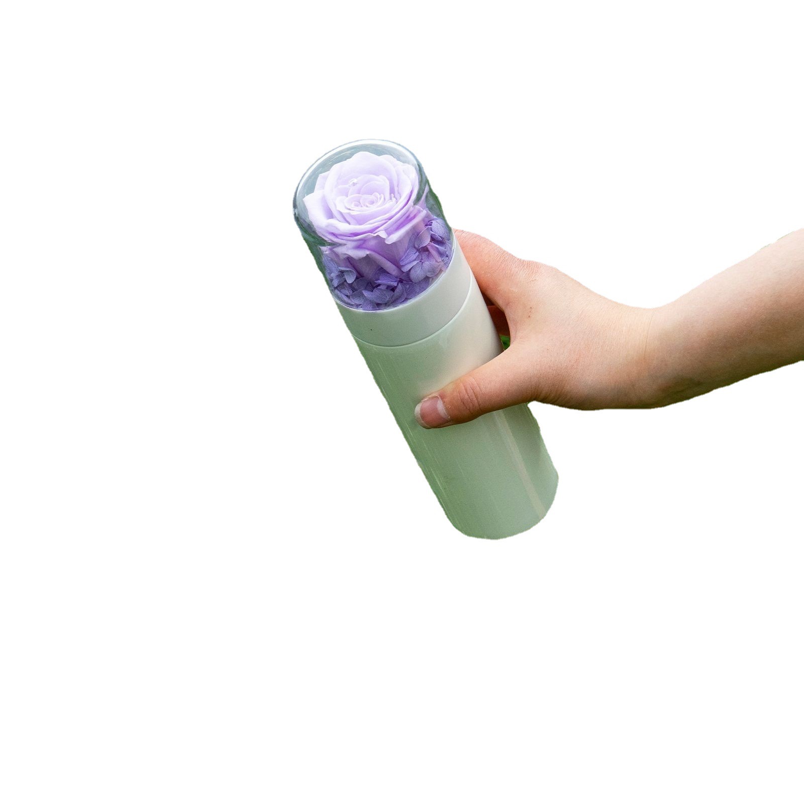 Yunnan naxi reina flor eterna termo taza de agua al por mayor de flores preservación regalo café leche té bebida qixi Festival