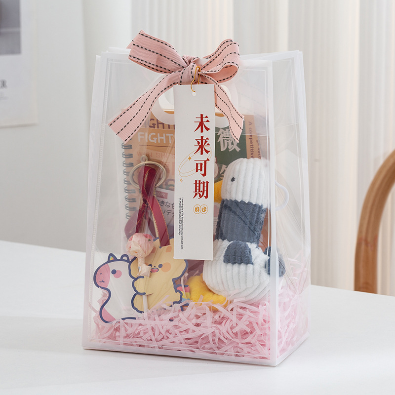 Bolsas de regalo para estudiantes durante la temporada de regreso a clases, bolsas de regalo transparentes de alta gama, bolsas de embalaje, bolsos de plástico para souvenirs, bolsas de regalo image 18
