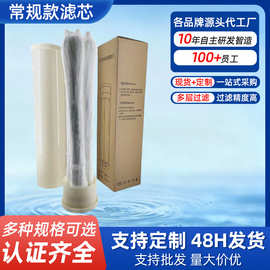 PVDF10寸20寸大胖可拆洗超滤膜滤芯厨房前置PP净水器大胖滤芯家用
