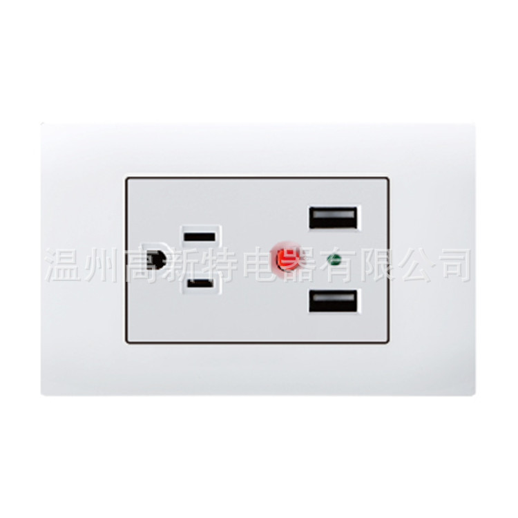 南美118系列-VA 美式插座& USB插座带开关  美式USB插座