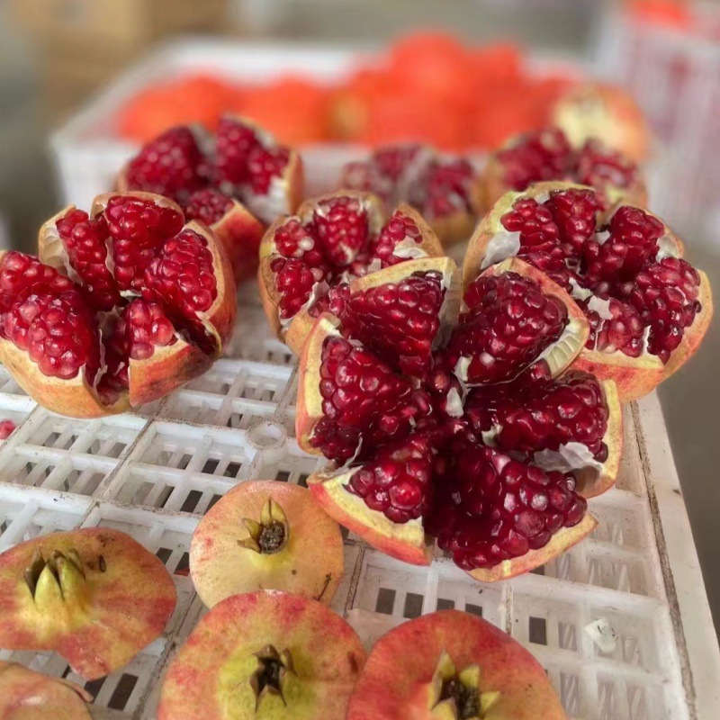 SF Express Sichuan Huili pomegranate Tunisia soft seed pomegranate fresh picked origin one piece dropship pure sweet juicy