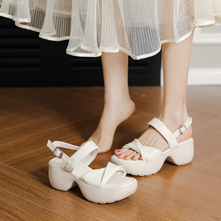Women's Platform Sandals with Open Toe Soft Bottom 2025 Summer New Fairy Style All-match High Heel Roman Platform Shoes