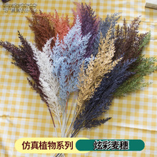 ���滨�����������F���ϻ���c�Y�õ��·���b����ϻ��廨�ٻ�