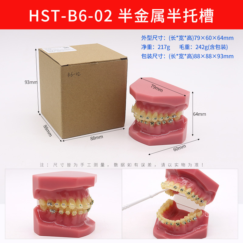 Modelo de ortodoncia dental semi-metal semibrackets Práctica de corrección de molde dental estándar Comunicación médico-paciente Modelo de enseñanza Modelo dental