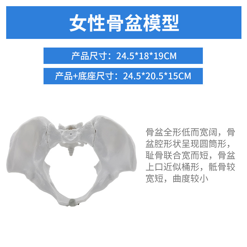 ��ѧ������׼�Ů�Թ��輰�ӹ�ģ��Ů����ǻ�ṹ������׼��⿵��