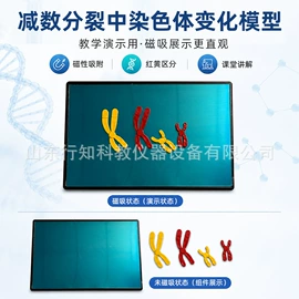 教学仪器;数理教学器材;教学演示用品