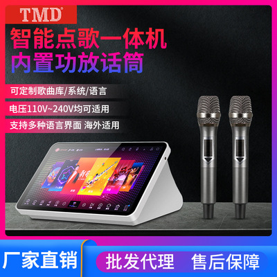 19 portable Power amplifier VOD one Jukebox microphone household Cara OK family KTV VOD Taiwan