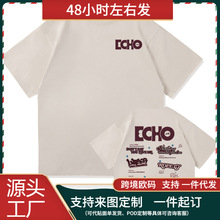 【欧码棉T】Jin Echo T恤时尚男女新专辑Runseokjin EP Tour 2025