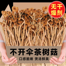 茶树菇净重茶树菇干货农家新鲜茶树菇煲汤火锅食材批发