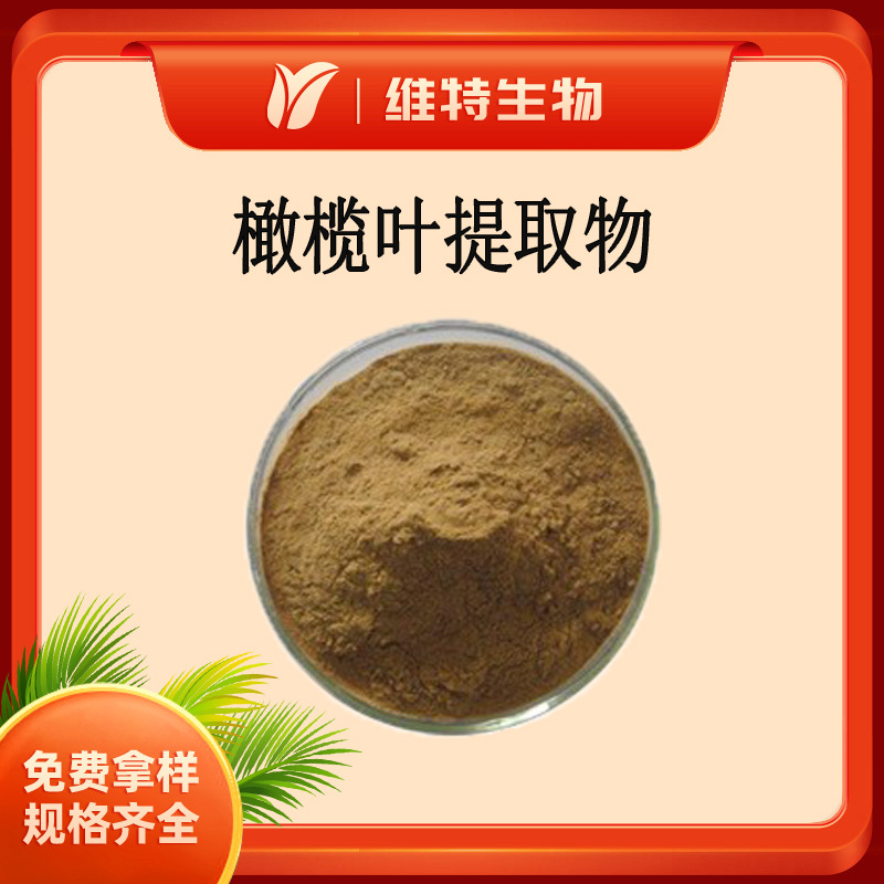 橄榄叶提取物10:1 青果叶萃取物 黄榄叶粉 水溶性橄榄叶提取物粉