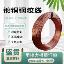 铜包钢绞线铜覆钢水平接地线圆线接地软硬铜绞线防雷镀铜钢引下线