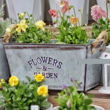 �羳���� �͹����f�FƤ�������b ��ʽ������ֲ�ﻨ��ԭɫ���K����