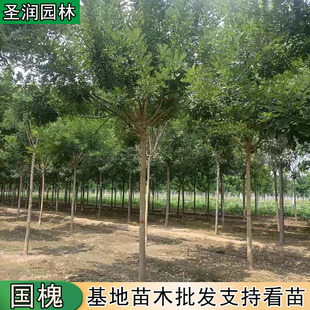 ��������������С��G������������ϻ�����������