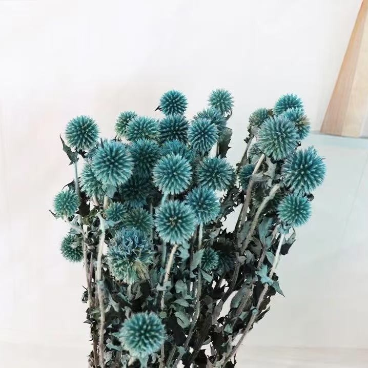 블루 [핫 스타일]