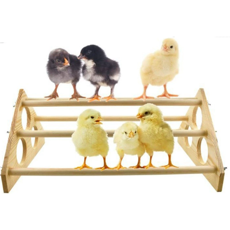 Оптовая Продажа с фабрики декоративный куриный стенд домашнее животное курица деревянная подставка Петух Курица 7 подставка Бар игрушка попугай