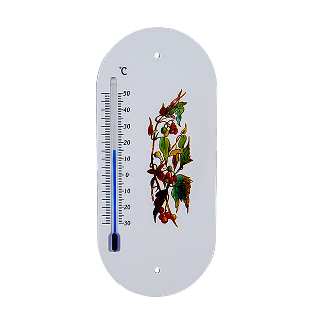 高精度易读取刻度室内室外塑料玻璃管温度计
