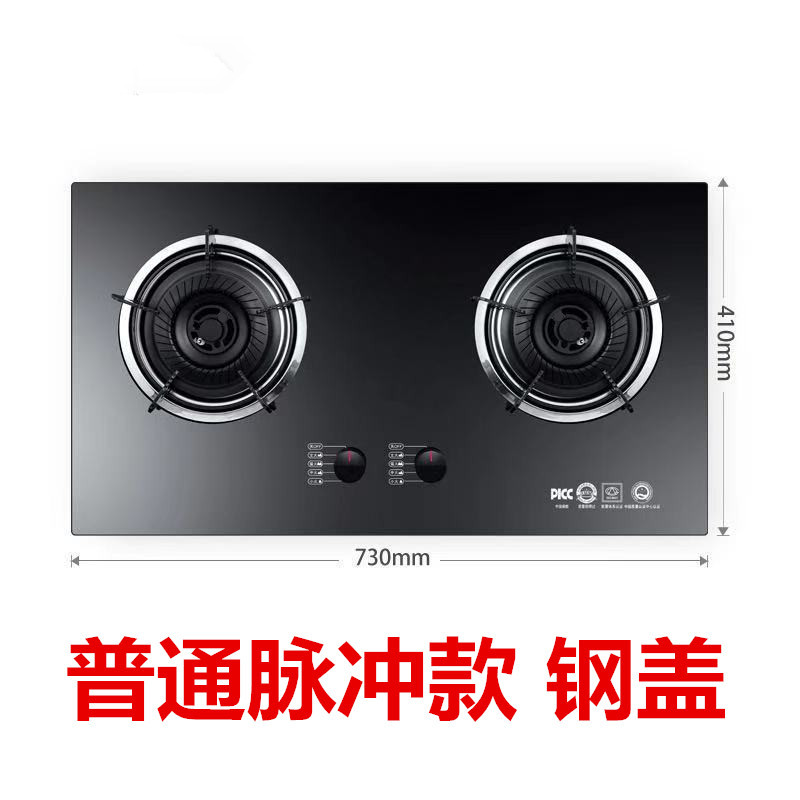 일반 펄스 스틸 커버