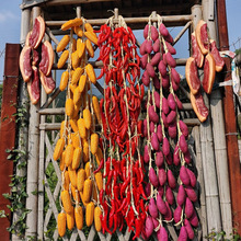 �¿��߲˴����������������r�Ҙ��ͥԺ�b��r����ģ�͒��