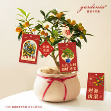 �󼪴�����ۘ��B�o���������҃ȾGֲ���Ե����t����������b�