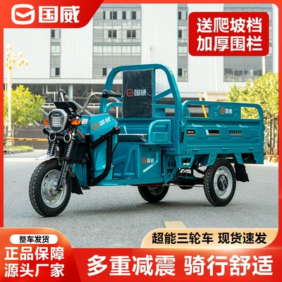 Zaizhong Wang – Guowei Electric Auto Parts and Accessories