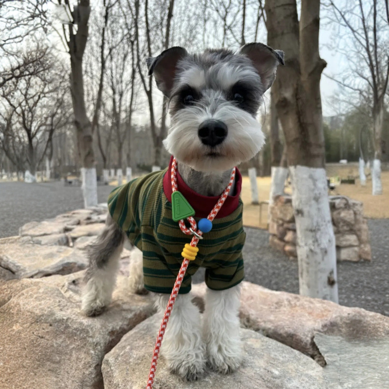 Primavera y verano ropa de perro delgada Teddy Malzies rayas camiseta de cuello redondo básico Schnauzer pequeño y medio perro