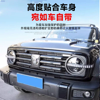 Automobile anti-insect net Net Modified Grille Trim