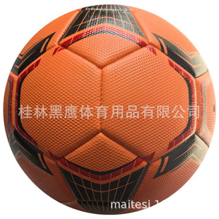 �¿�5̖�C�p�����w�������Ƥ�| 2024���Q�N����LOGO
