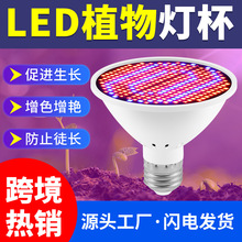 ?ȫ���Vֲ�����L���҃ȴ�����һ������������ɫ�a�����E27��