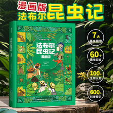 ��ͯ�ٿ�ȫ�����վ��b���������xӛ�������6-8-12�qС�W��������
