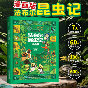 ��ͯ�ٿ�ȫ�����վ��b���������xӛ�������6-8-12�qС�W��������