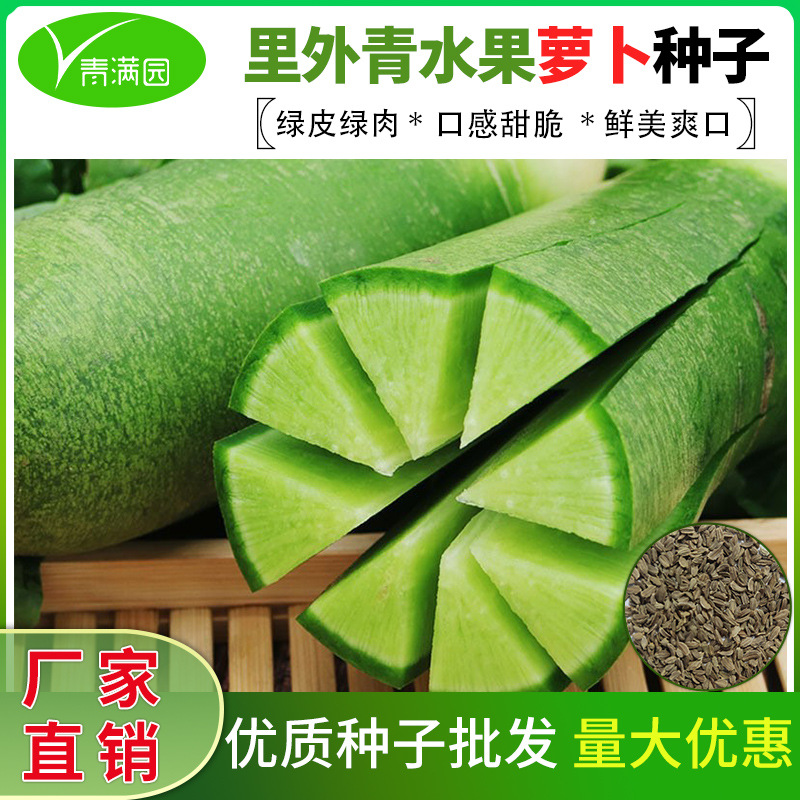 秋季里外青绊倒驴青萝卜种子水果沙窝青萝卜籽九甜青脆青萝卜种子