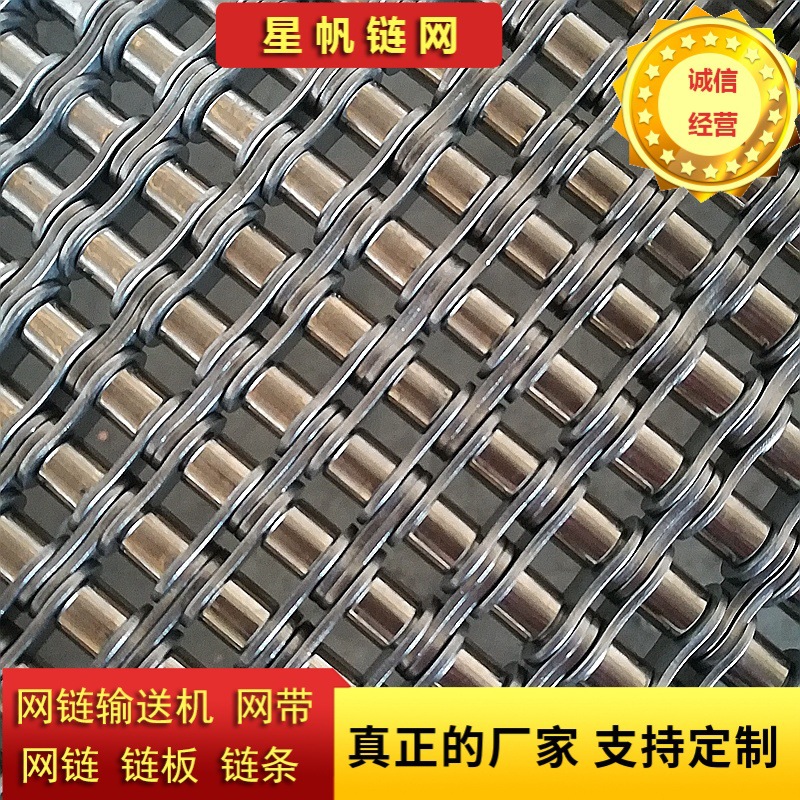 厂家生产不锈钢08B10A12A多排链条金属排链及双节距输送带耳链条