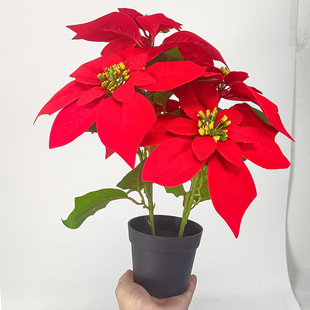 ���滨�ܽ���һƷ�t�������k���ҿ͏d�b��}�Q�����շ���ֲ��