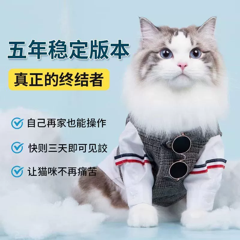 Cat FIPV сухой и влажный кошачий FIPV масляный агент водный агент специальный инъекционный пероральный таблетки FIPV стабильная версия Yingxuhong